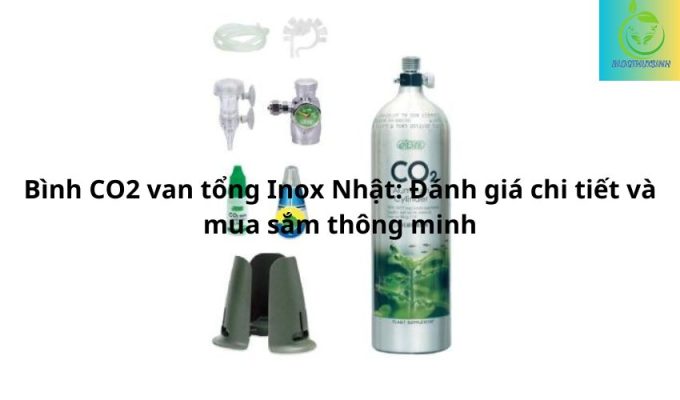 Bình CO2 van tổng Inox Nhật: Đánh giá chi tiết và mua sắm thông minh