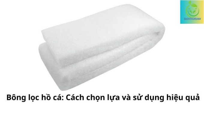 Bông lọc hồ cá: Cách chọn lựa và sử dụng hiệu quả