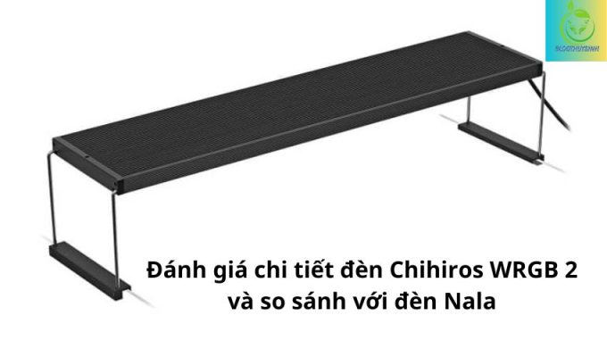 Đánh giá chi tiết đèn Chihiros WRGB 2 và so sánh với đèn Nala