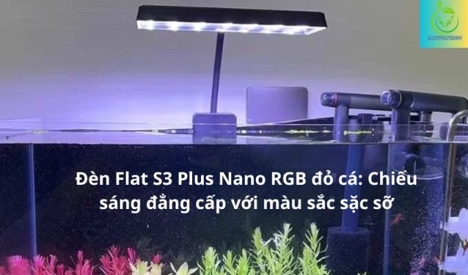 Đèn Flat S3 Plus Nano RGB đỏ cá: Chiếu sáng đẳng cấp với màu sắc sặc sỡ