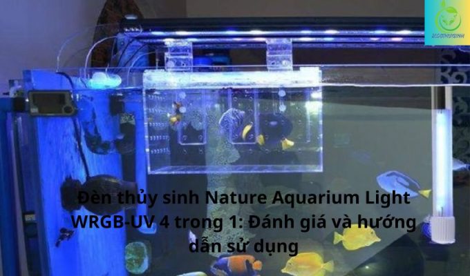 Đèn thủy sinh Nature Aquarium Light WRGB-UV 4 trong 1: Đánh giá và hướng dẫn sử dụng