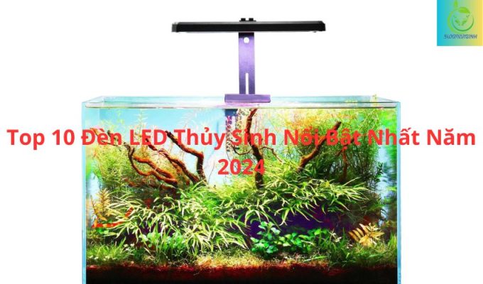 Top 10 Đèn LED Thủy Sinh Nổi Bật Nhất Năm 2024