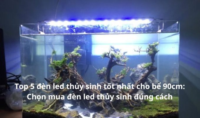 Top 5 đèn led thủy sinh tốt nhất cho bể 90cm: Chọn mua đèn led thủy sinh đúng cách