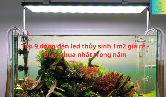 Top 9 dòng đèn led thủy sinh 1m2 giá rẻ - Đáng mua nhất trong năm