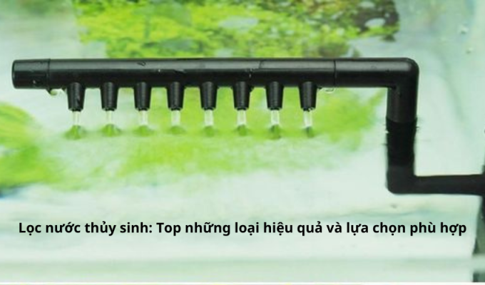 Lọc nước thủy sinh: Top những loại hiệu quả và lựa chọn phù hợp