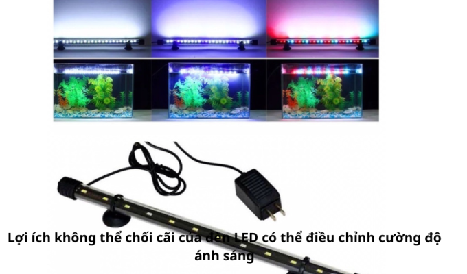 Lợi ích không thể chối cãi của đèn LED có thể điều chỉnh cường độ ánh sáng