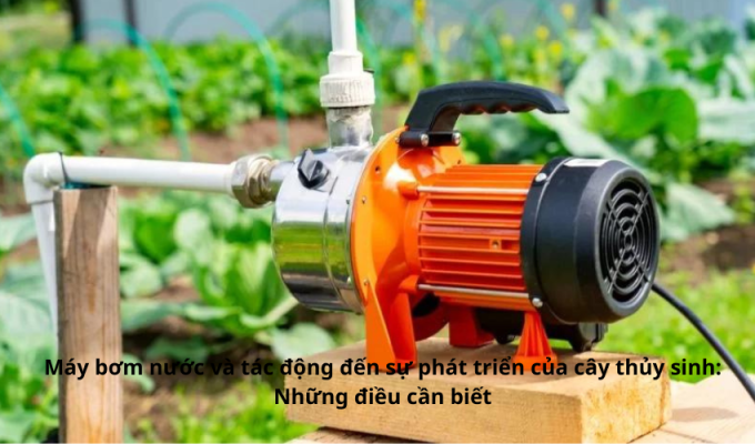 Máy bơm nước và tác động đến sự phát triển của cây thủy sinh: Những điều cần biết